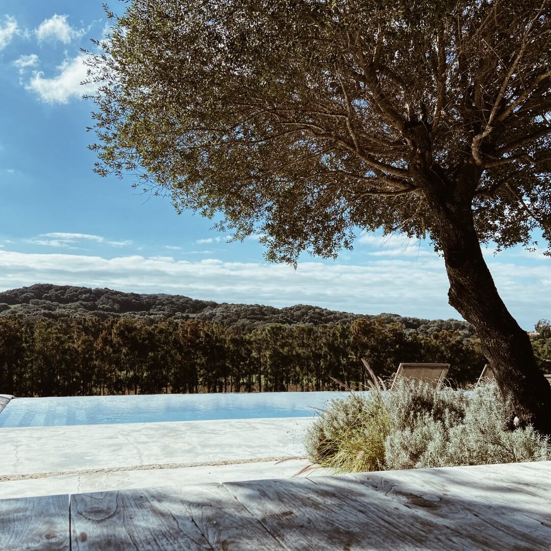 La piscine de l'hôtel et d'une bergerie en Corse
